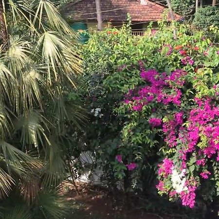 2Bhk Pool Facing Beachside Luxury Homestay In South Goa Betalbatim Luaran gambar