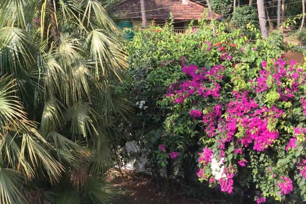 2Bhk Pool Facing Beachside Luxury Homestay In South Goa Betalbatim Luaran gambar